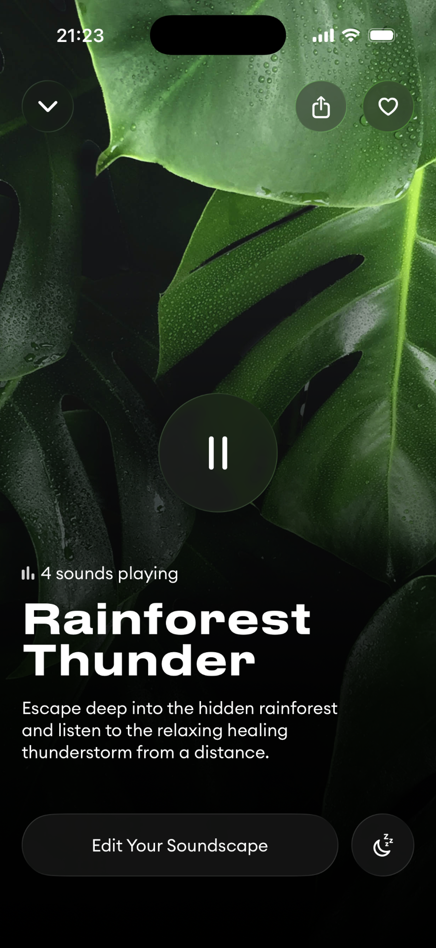 Rainforest Thunder soundscape screen